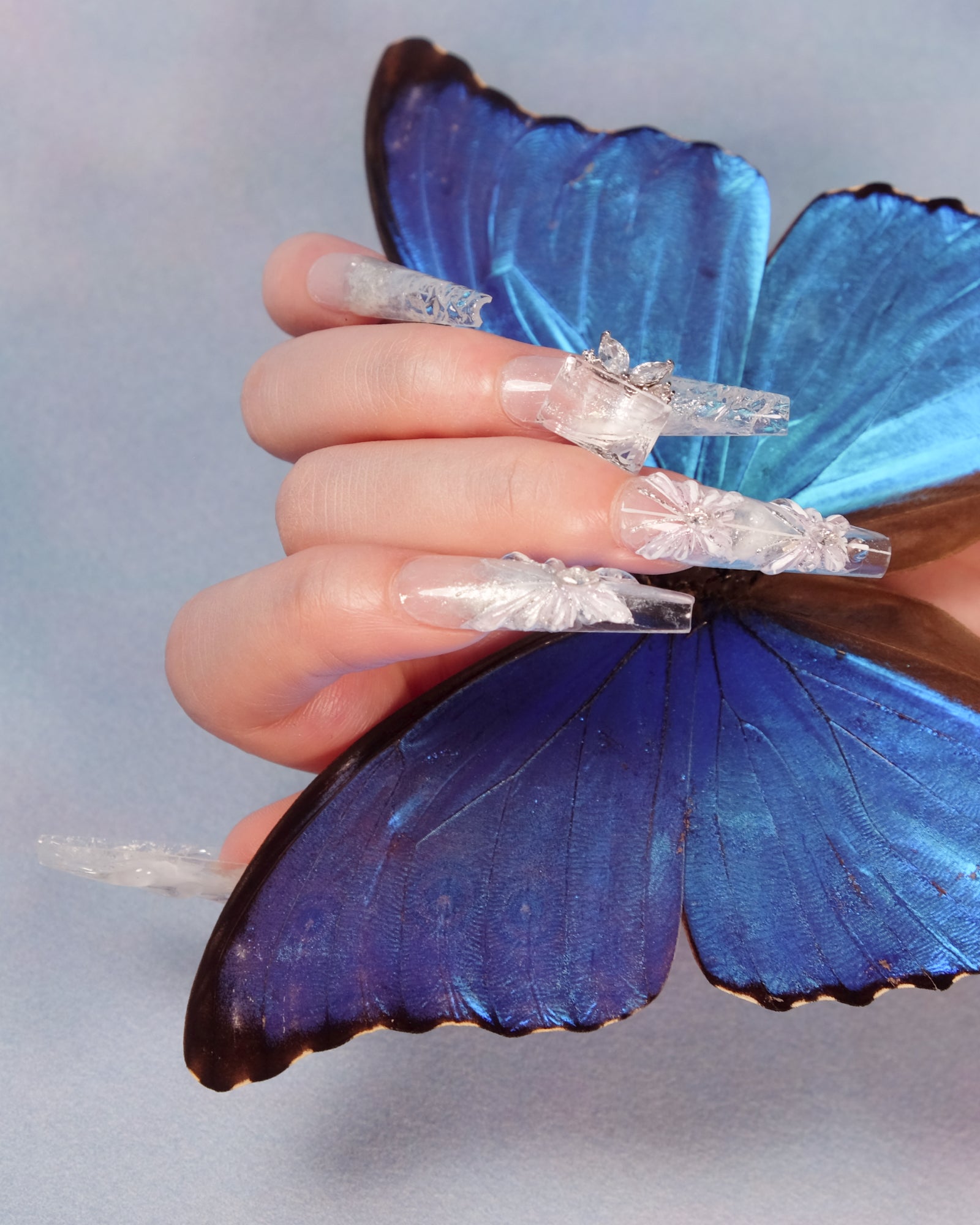 Butterfly Mirage